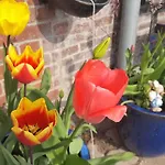 Storchennest Lägenhet *