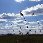 Storchennest Kollmar