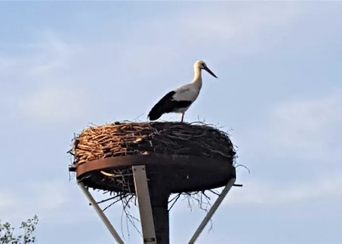 Storchennest Apartmán *